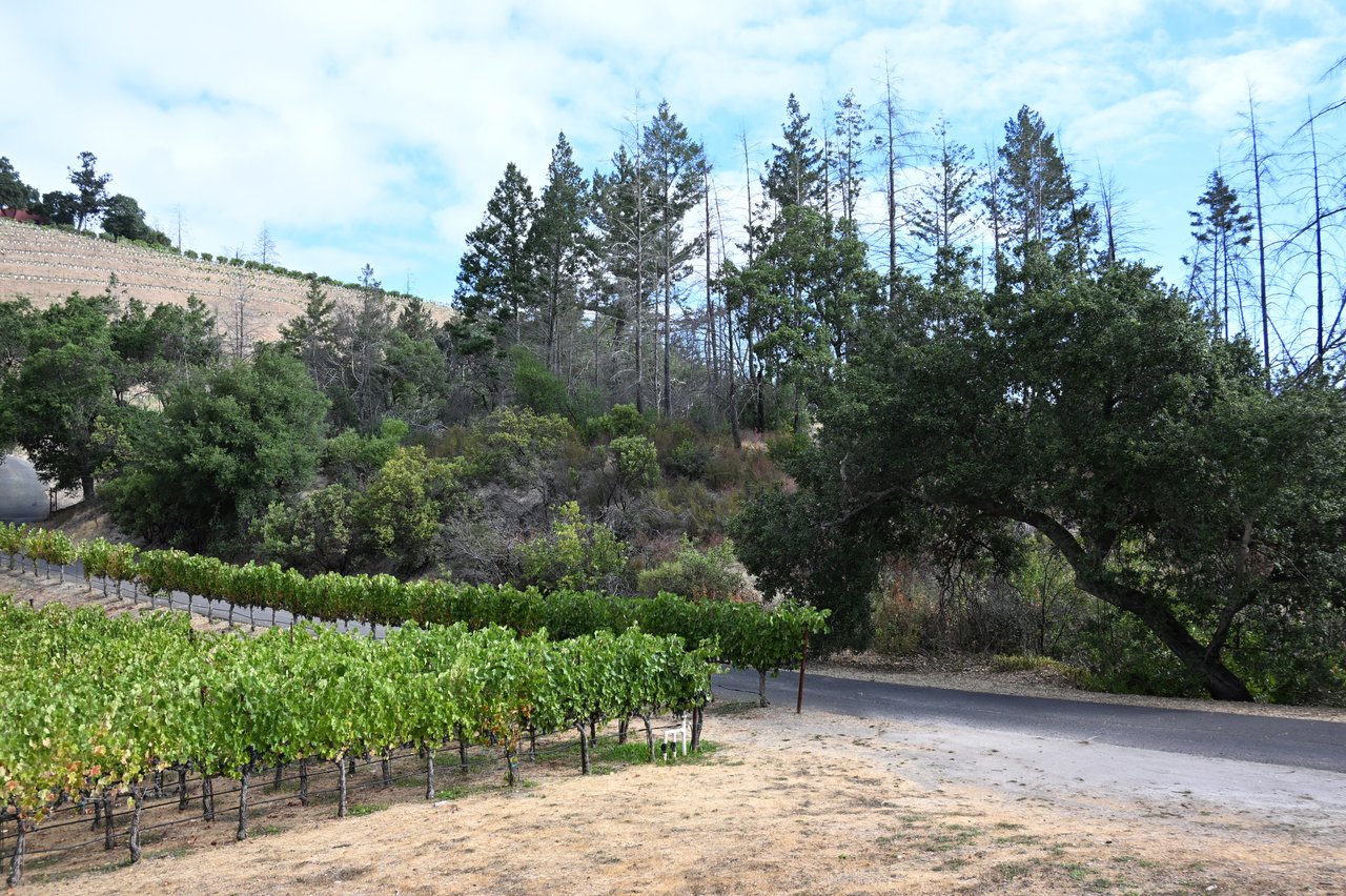 2910 Spring Mountain Rd