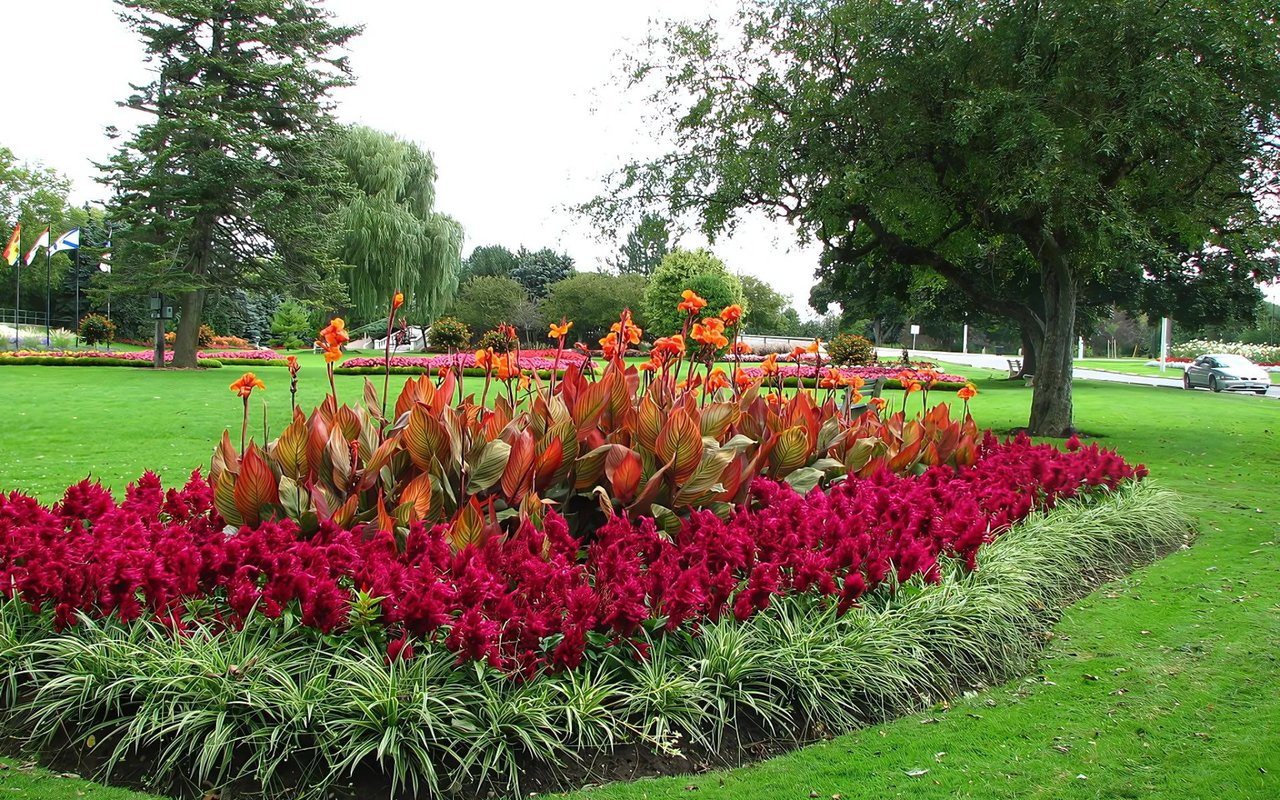The Ultimate Guide to Living in Lorne Park cover