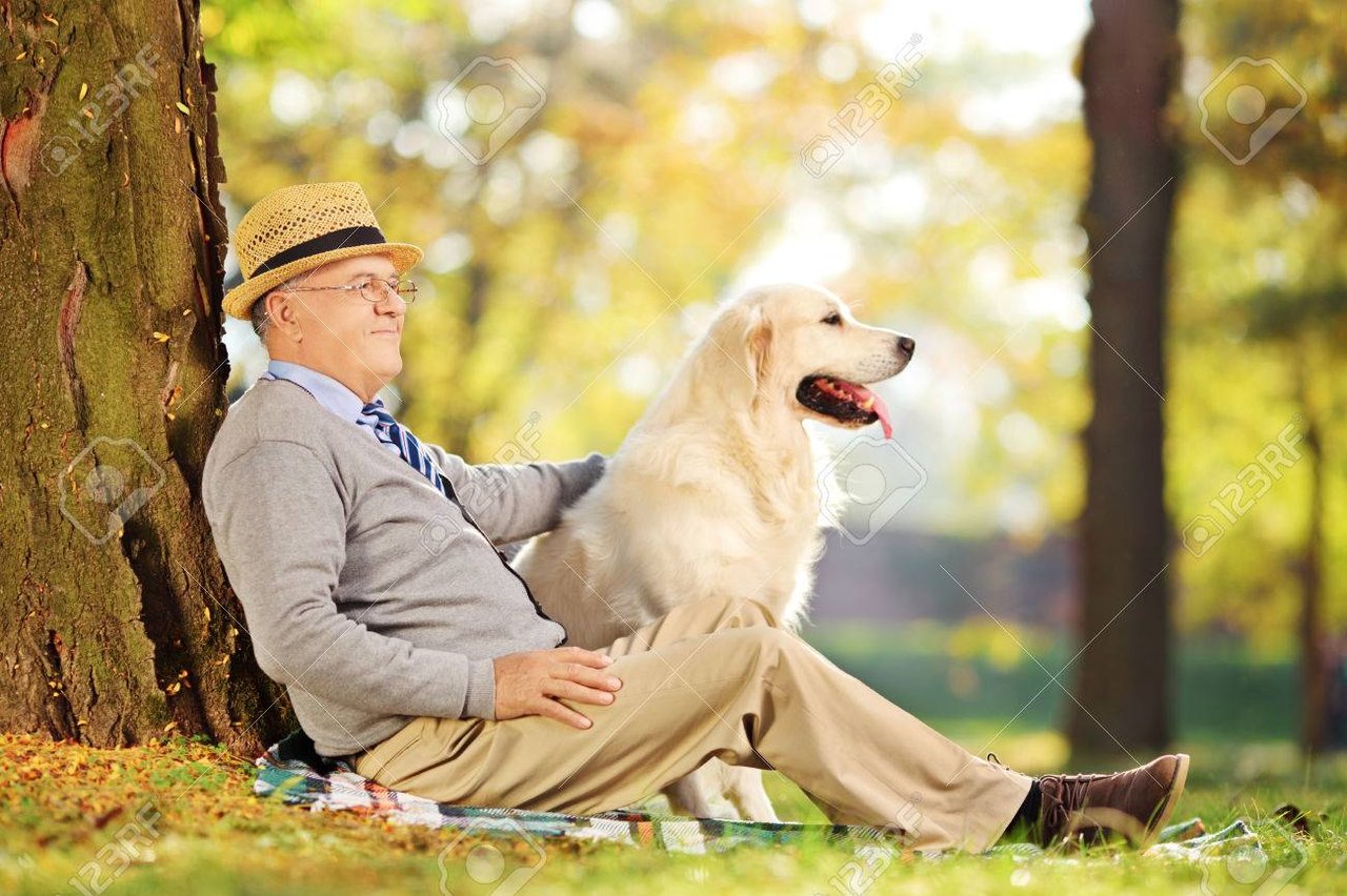 Aging Gracefully: Combating Loneliness and Fostering Connection