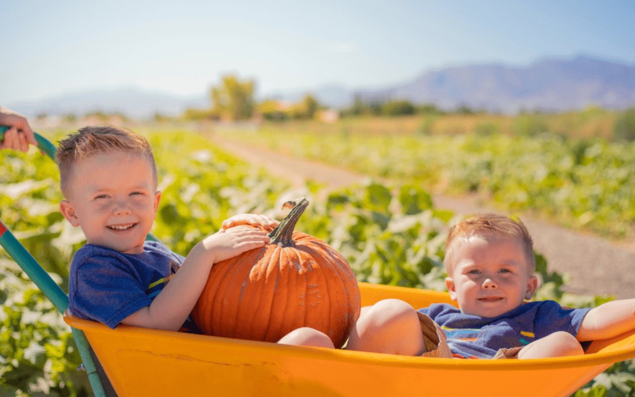 Five Pick-Your-Own Pumpkin Patches To Visit This Fall