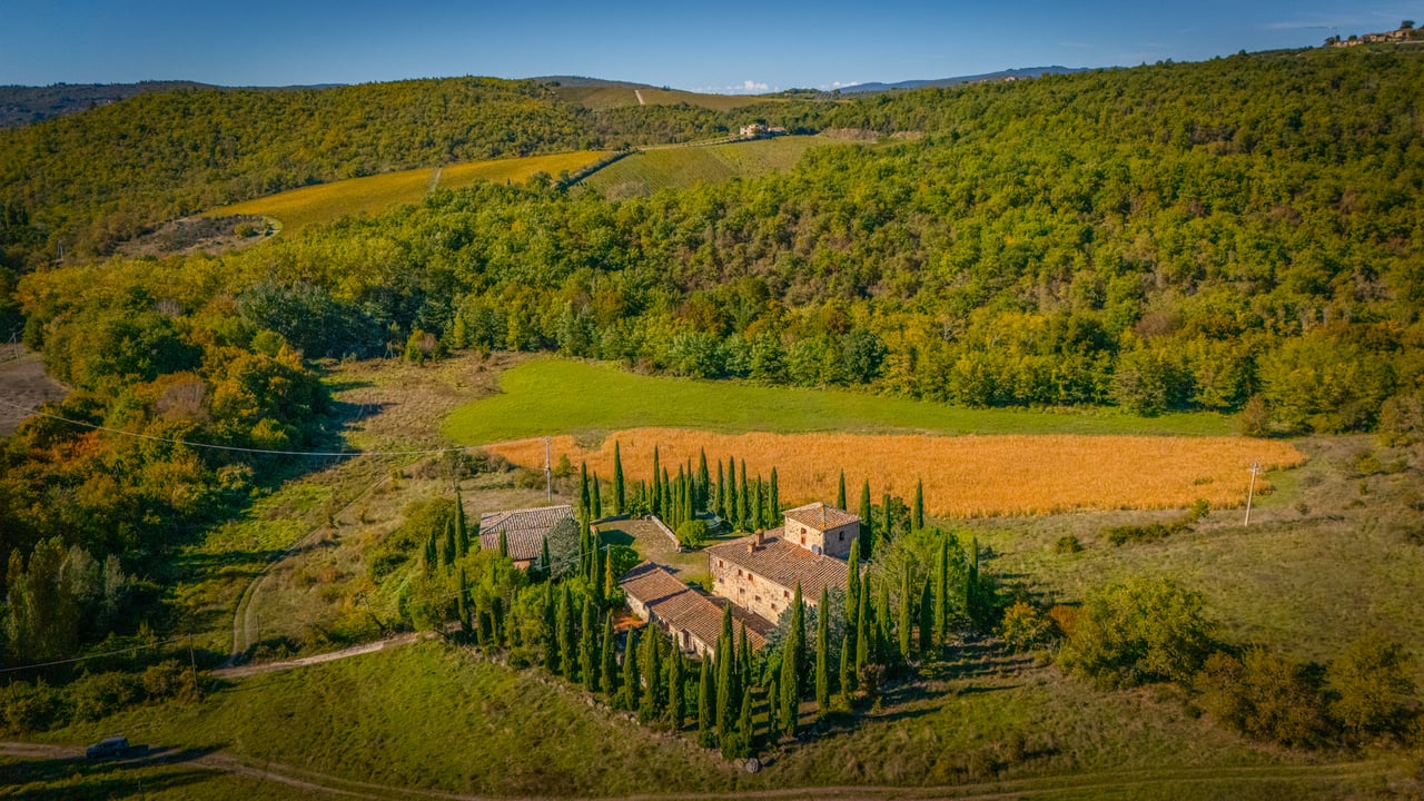 IL FIENILE DEL CHIANTI