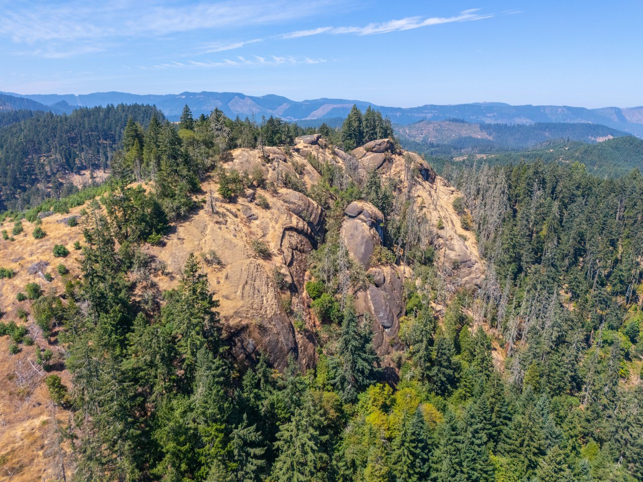 STRICKLAND BOULDER FOREST