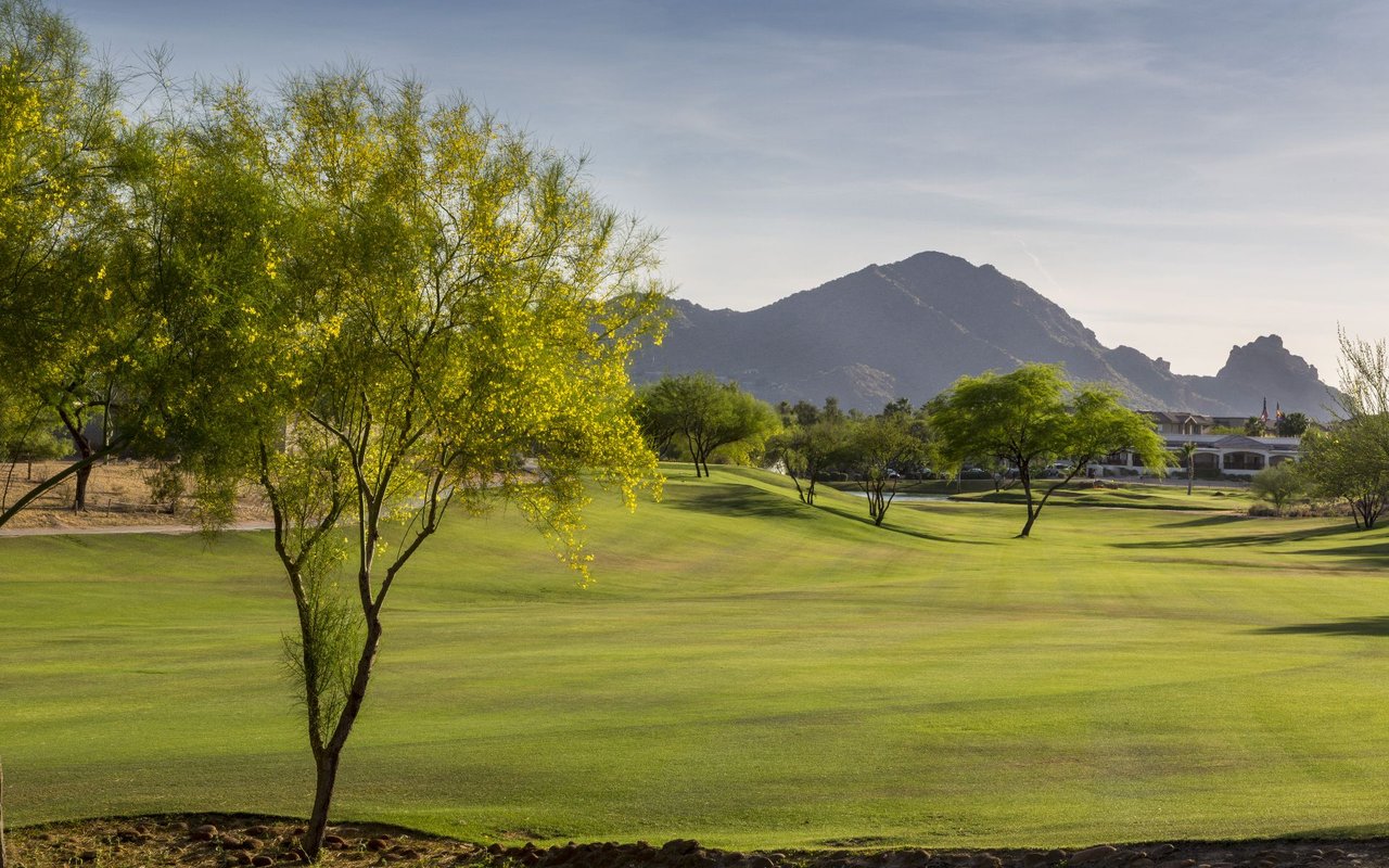 Grayhawk