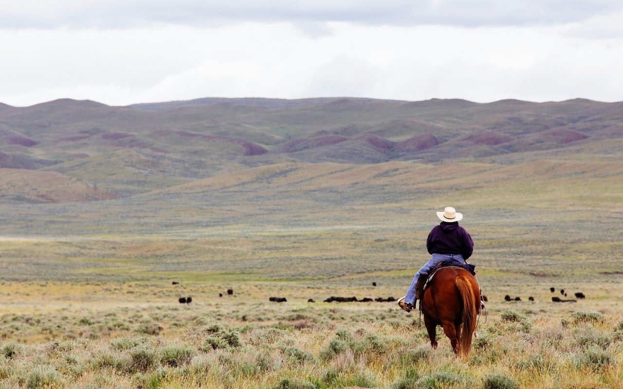 Exploring the Charm of Ranch Real Estate in Western Colorado