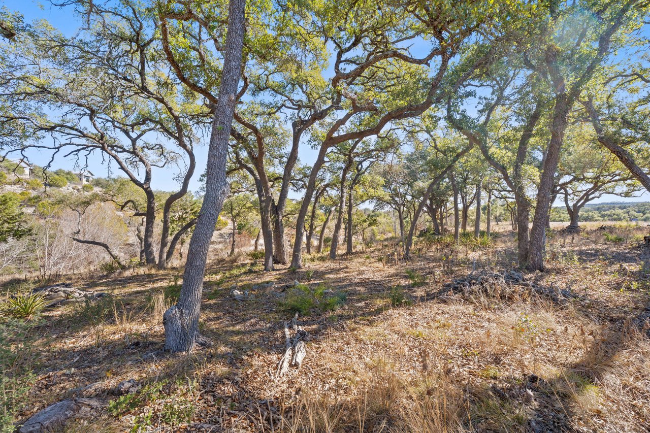 100 Dario Dr. Dripping Springs  Tx 78620