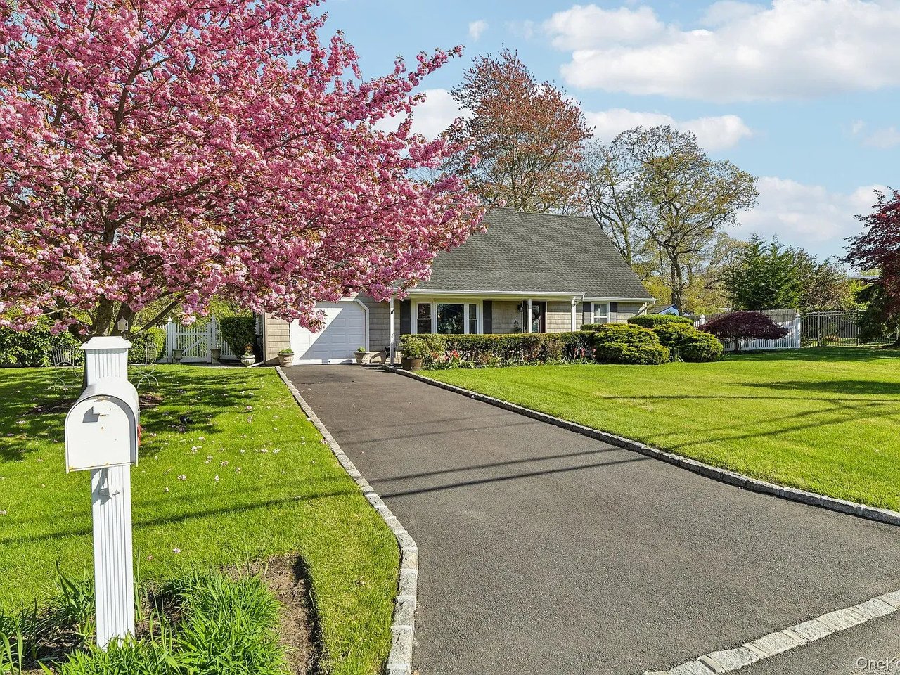 41 Orchid Rd