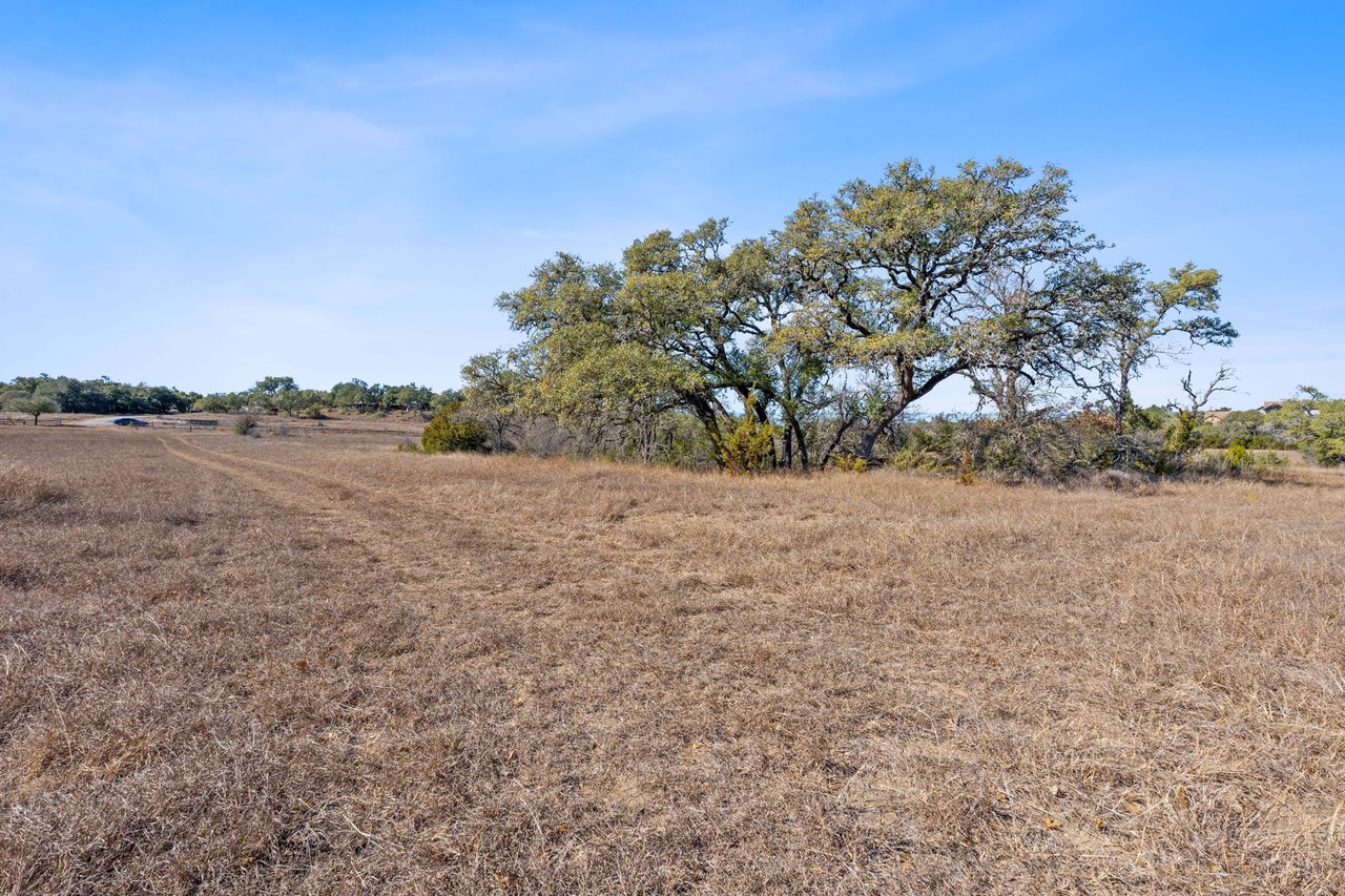 100 Dario Dr. Dripping Springs  Tx 78620