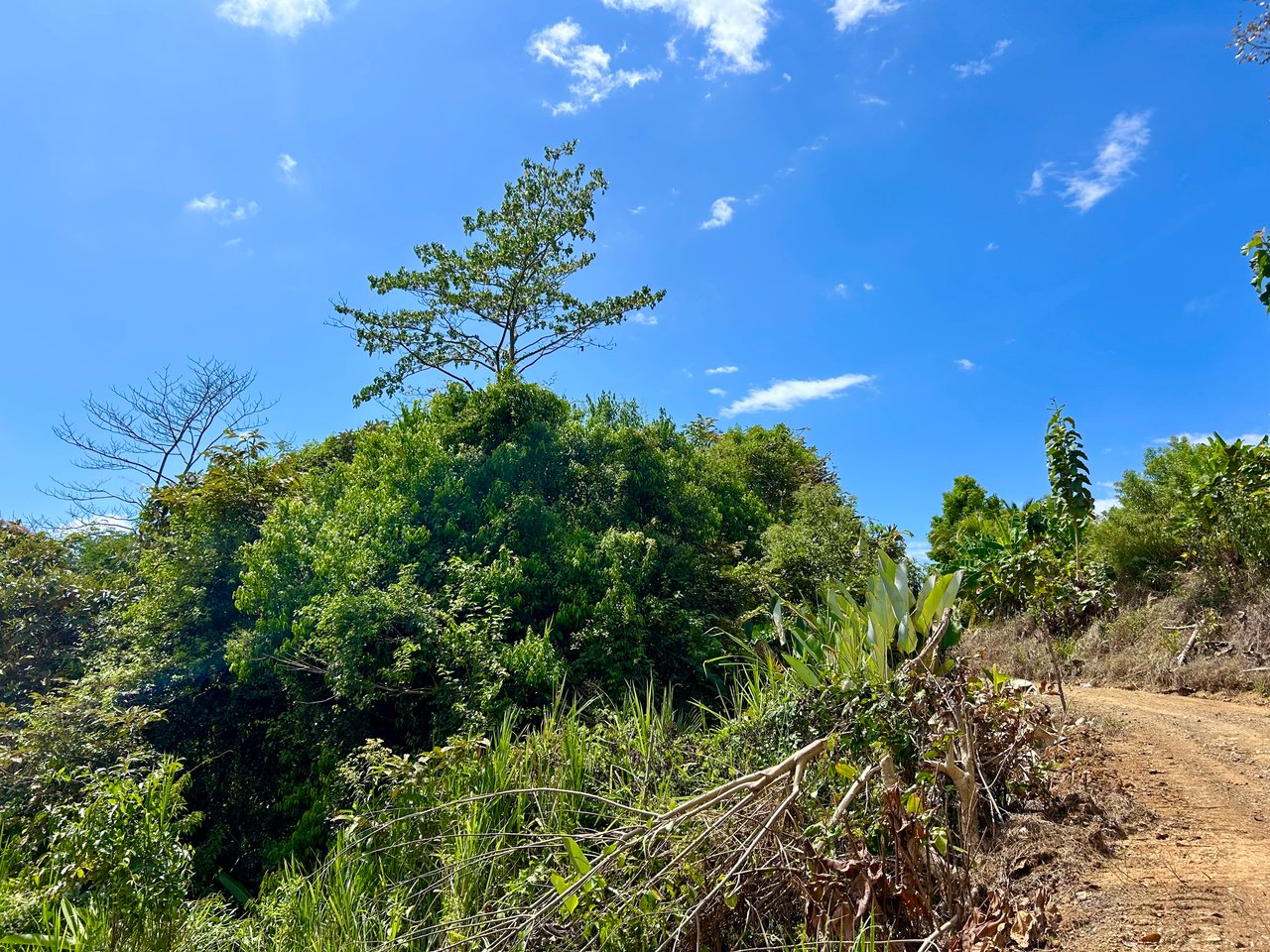 Ocean View Lot in San Buenas, Only $90K & Ready To Build