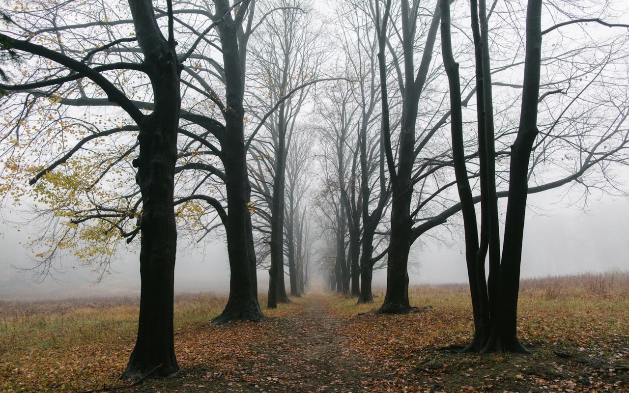 How to Spend a Day Outdoors in Englewood Cliffs