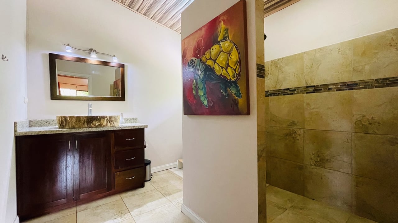 Valley of Dreams - A Beautiful Multi-Use Property Near Cacao Ridge, 10.85 Acres at a Phenomenal Price!