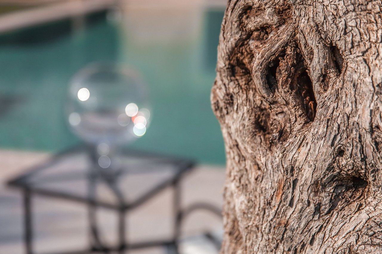 Intimate Villa Surrounded by Olive Trees Near the Town of Fasano