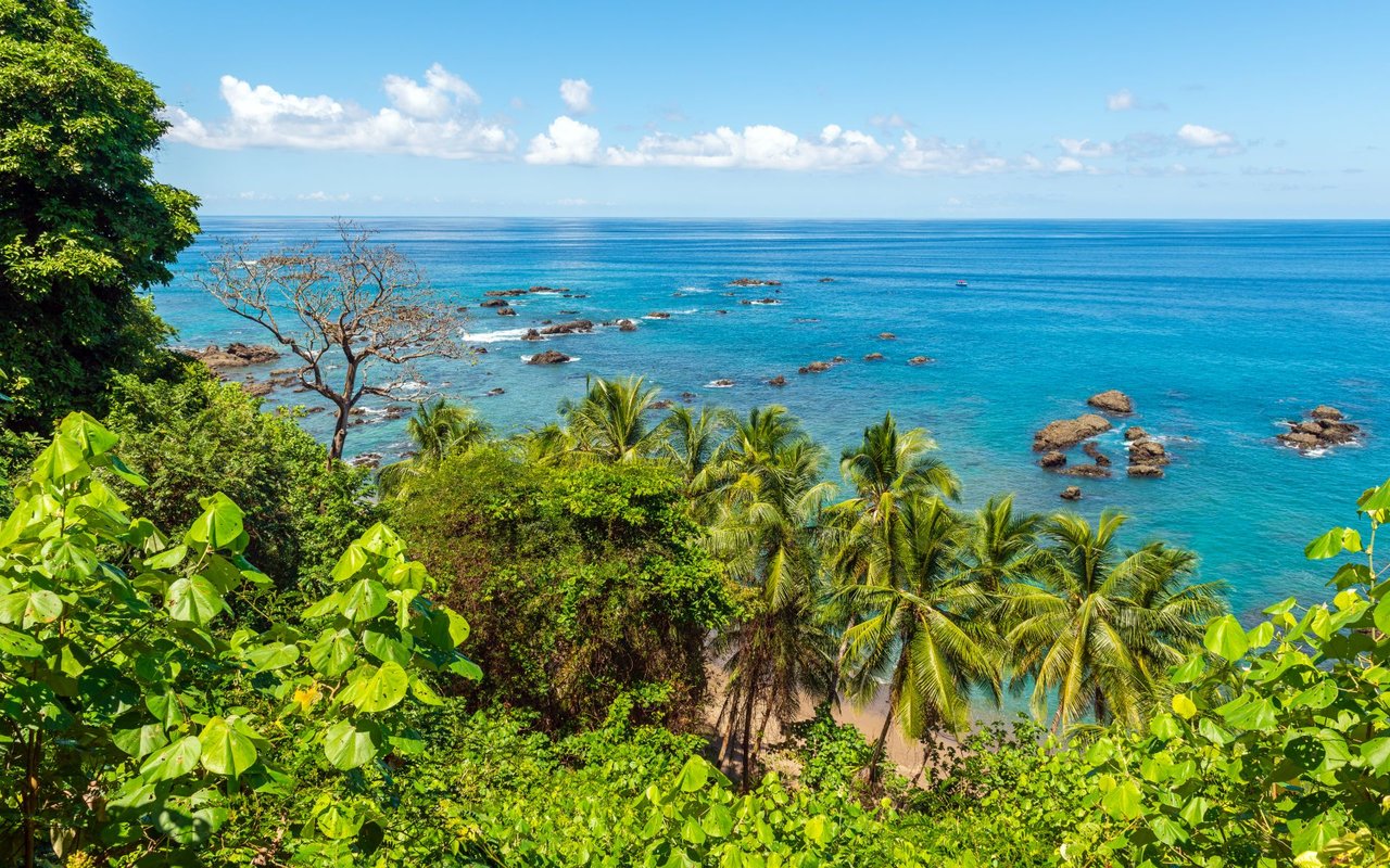 Tropical coastline with turquoise water, rocky shallows, palm trees, and dense green foliage.