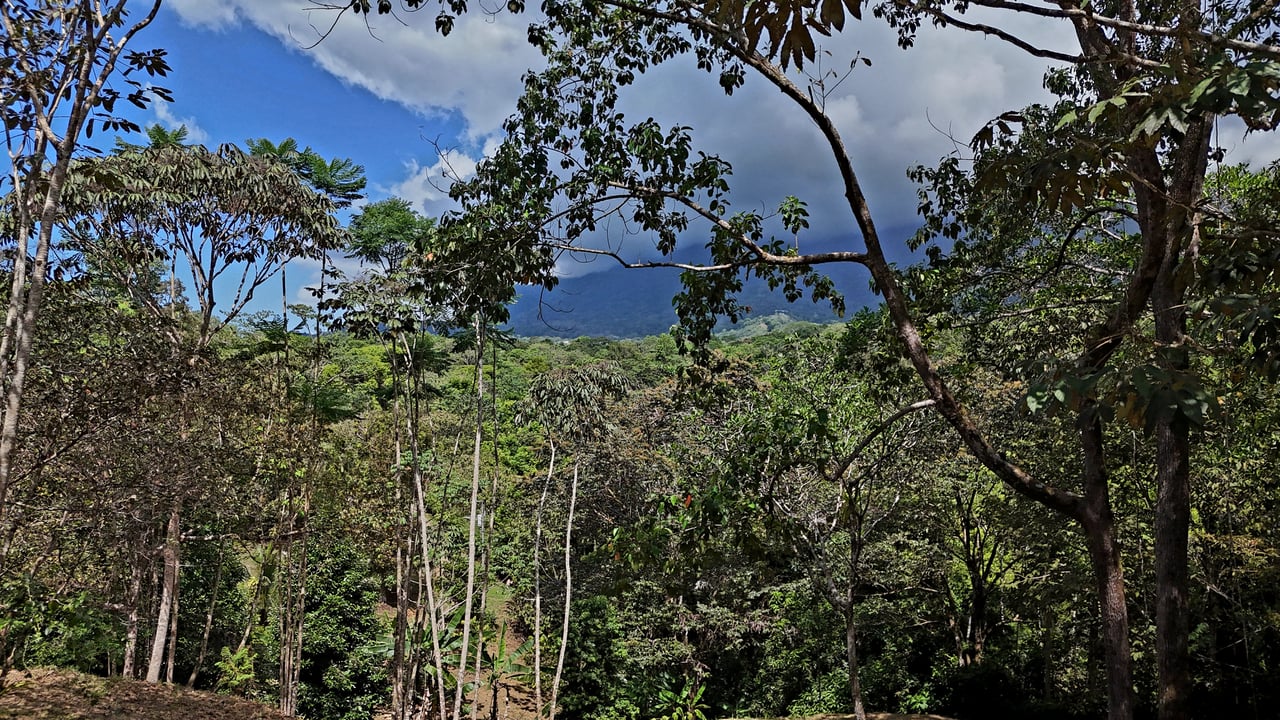 Beautiful mountain view land located in a quiet community in Ojochal. 