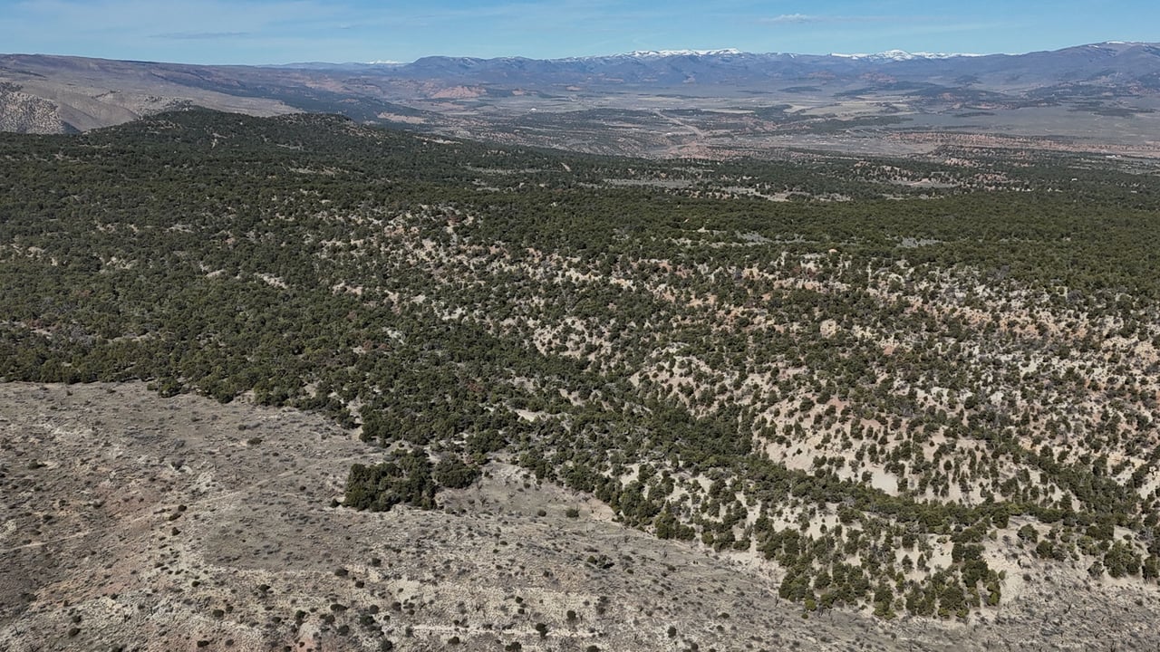 1 W Elk Meadows