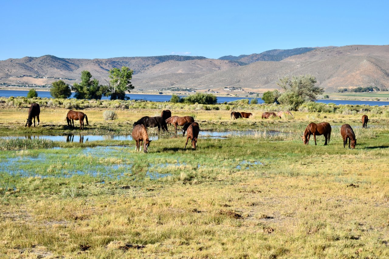 Washoe Valley