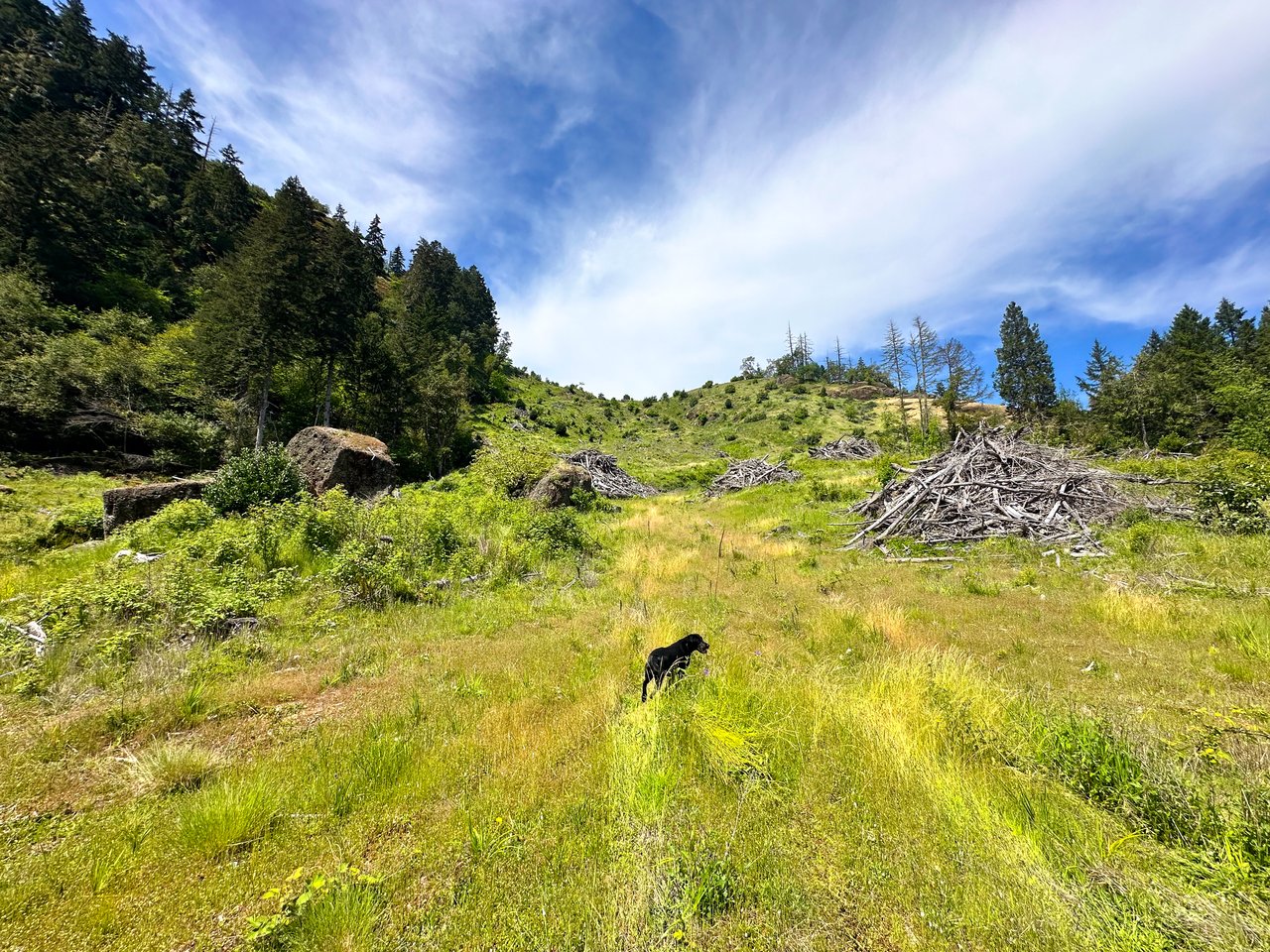 STRICKLAND CANYON HOMESITE