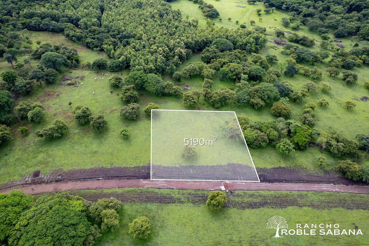 Exclusive Land Surrounded by Nature, Tamarindo, Guanacaste