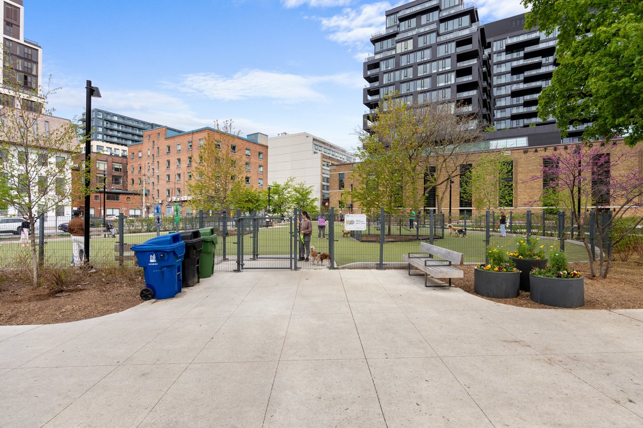 19 Brant Street Suite 508