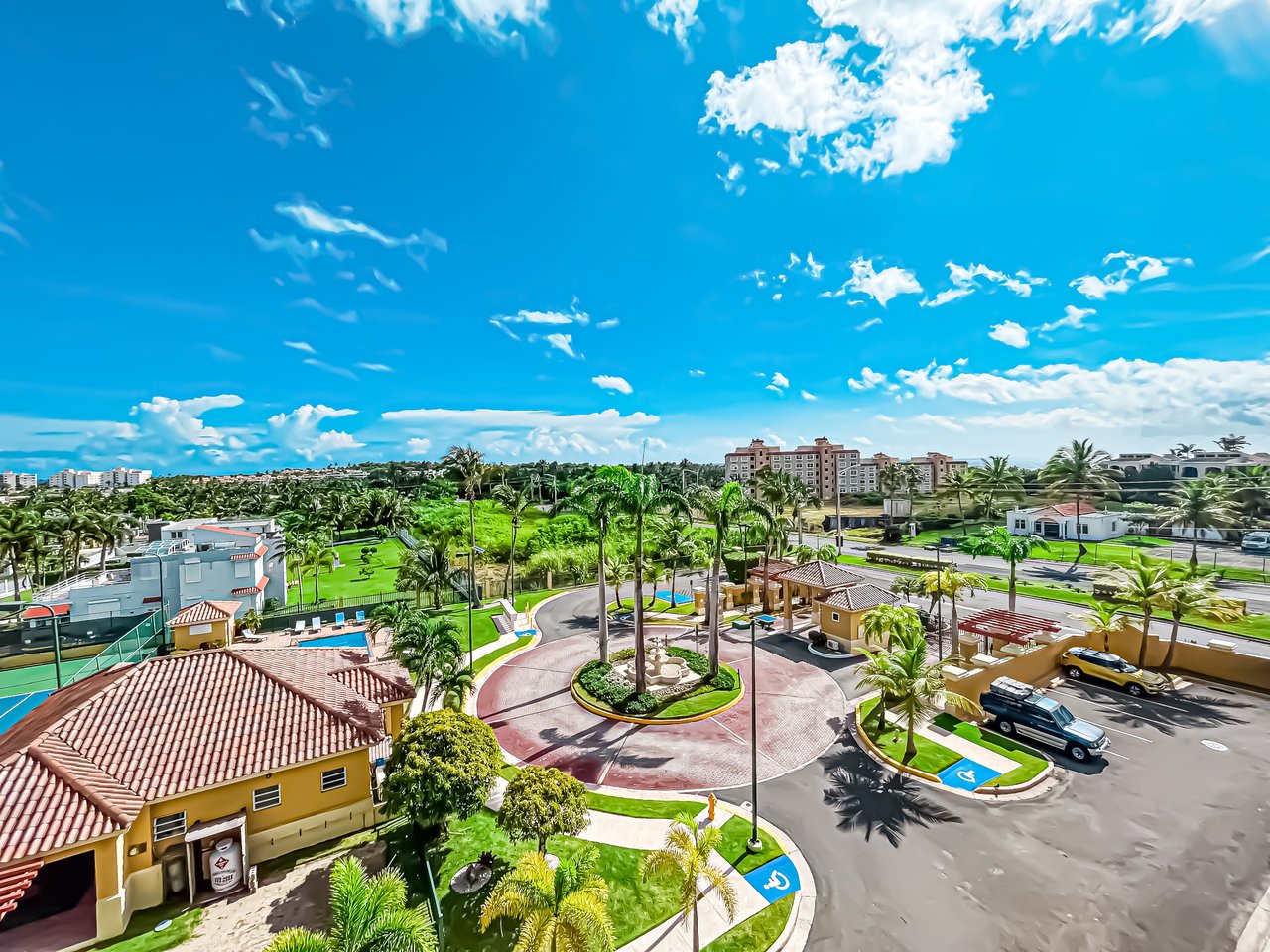 Royal Palm B-502
