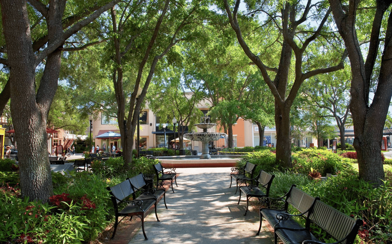 🚶‍♂️ A Walk Through Time: Tampa’s Historic Neighborhoods Await