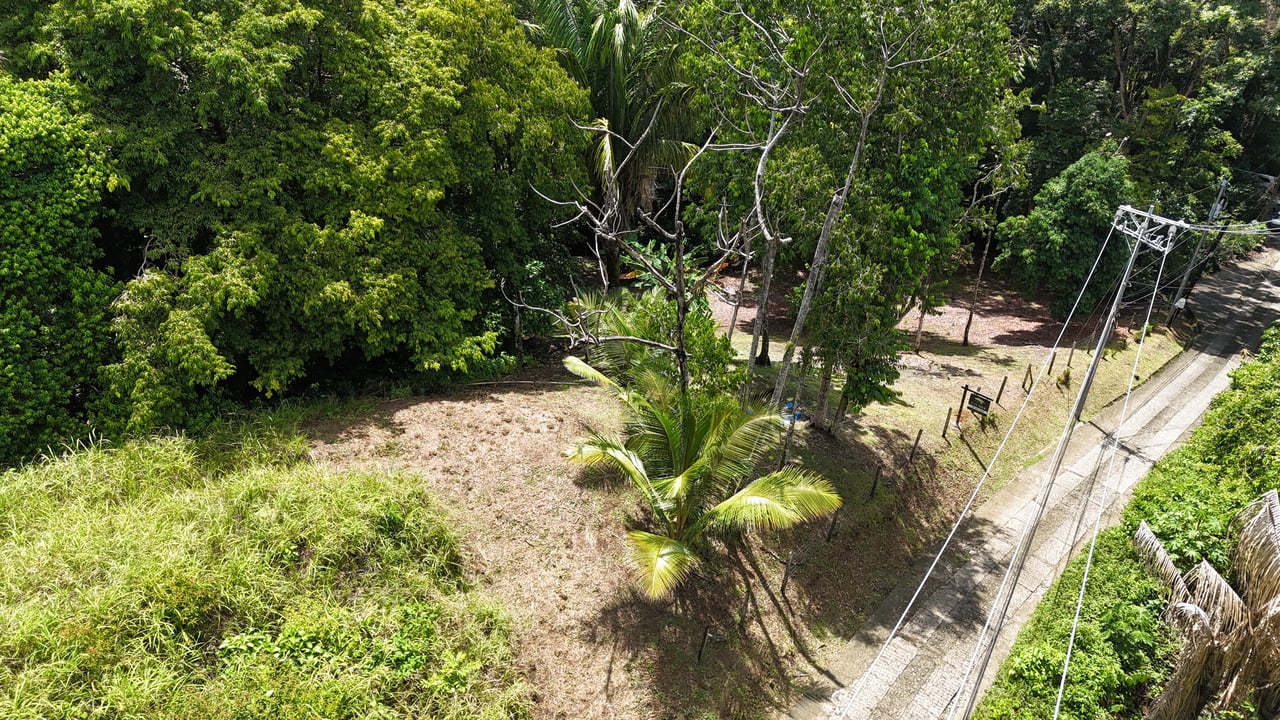 Walk to the Playitas beach, Titlled Building lot