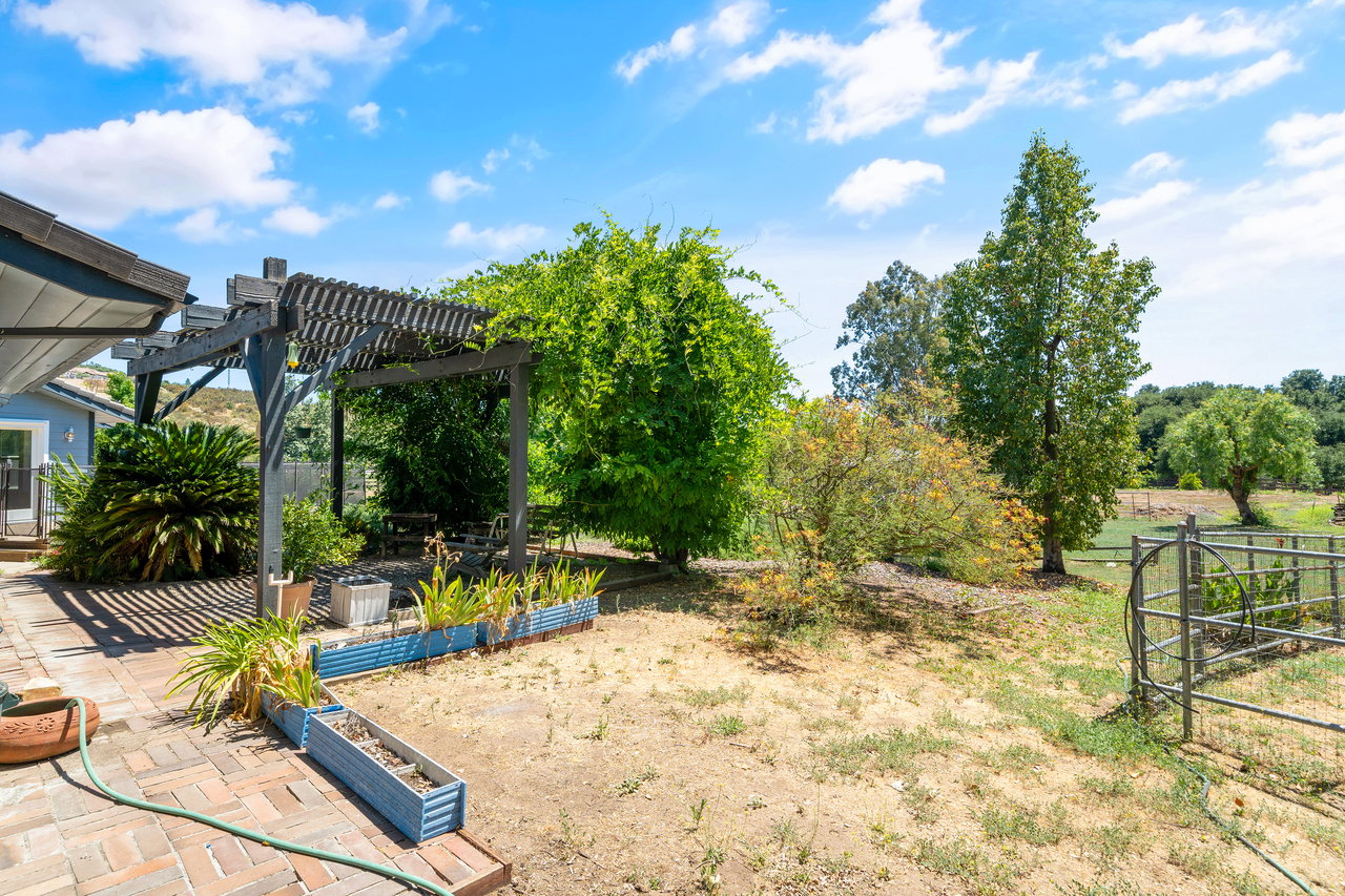 37797 Calle De Lobo