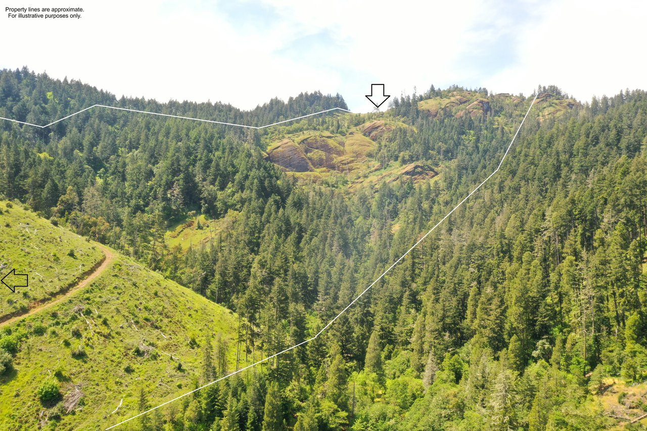 STRICKLAND BOULDER FOREST