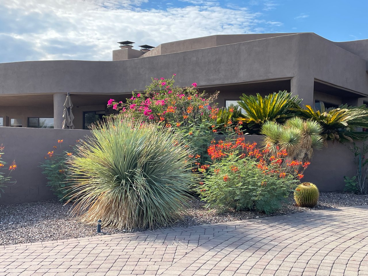 Tucson: The Smart Choice for Luxury Buyers