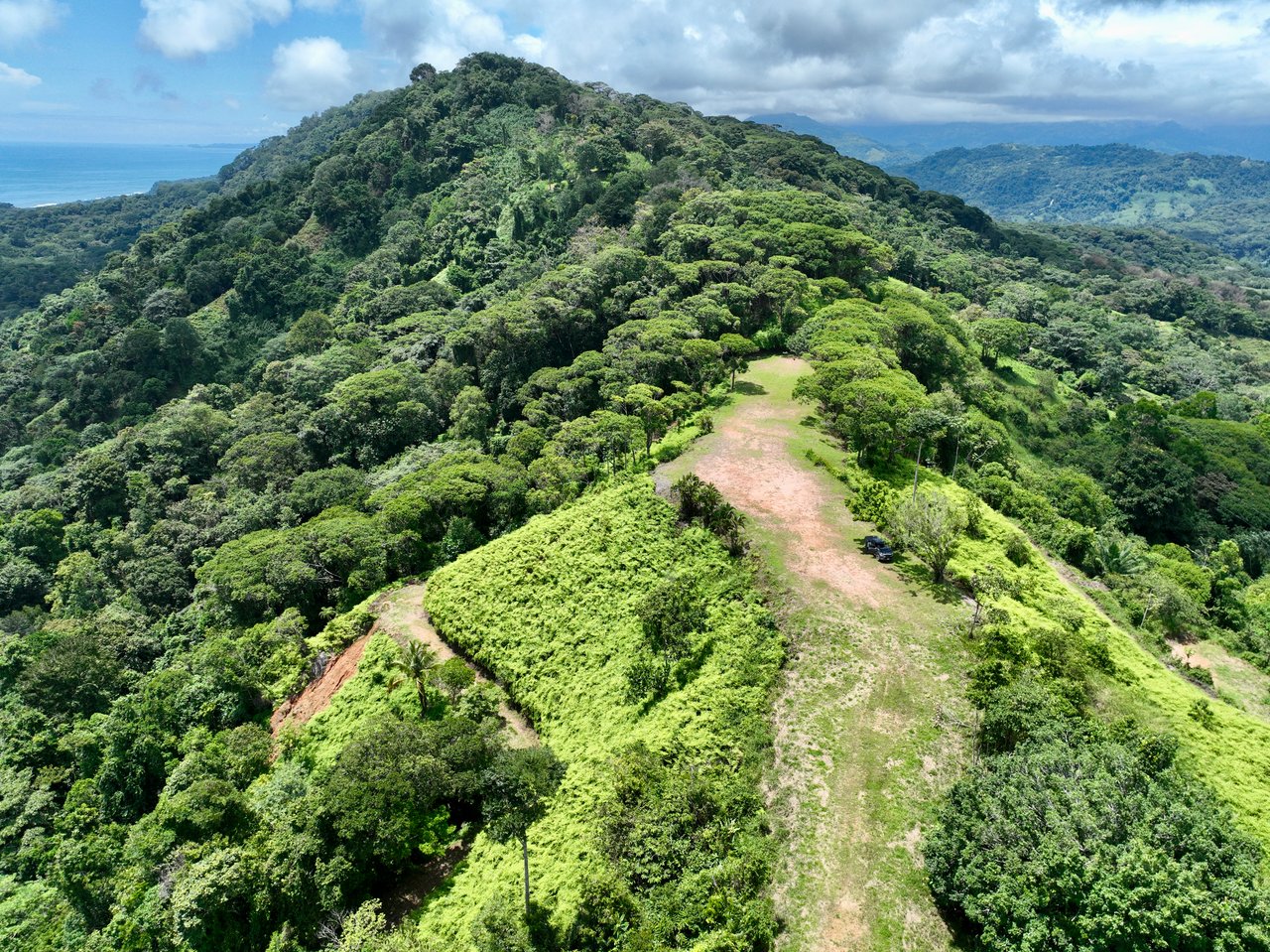 Luxury Farm Estate — 60 hectares of Breathtaking Views & Ultimate Privacy