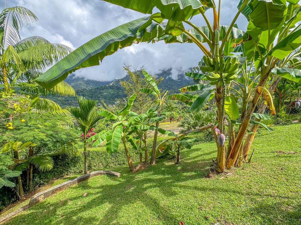 Ocean, Jungle & Mountain View Home in Ojochal | Protected Jungle Setting