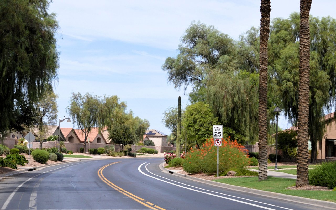 Curving residential street lined with homes, palm trees, desert landscaping, and a 25 mph speed limit sign.