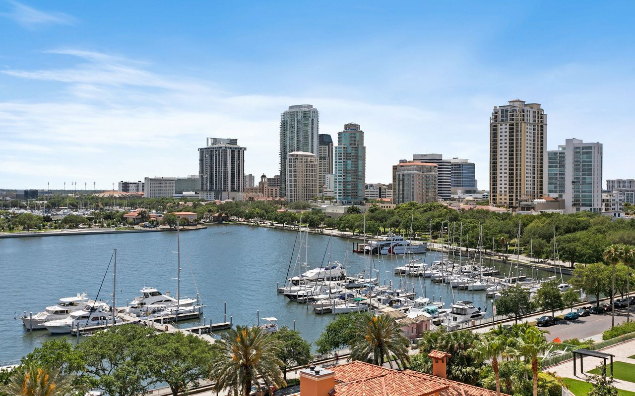 Unleashing Summer Fun: Your Ultimate Guide To Tampa's Top Seasonal Activities