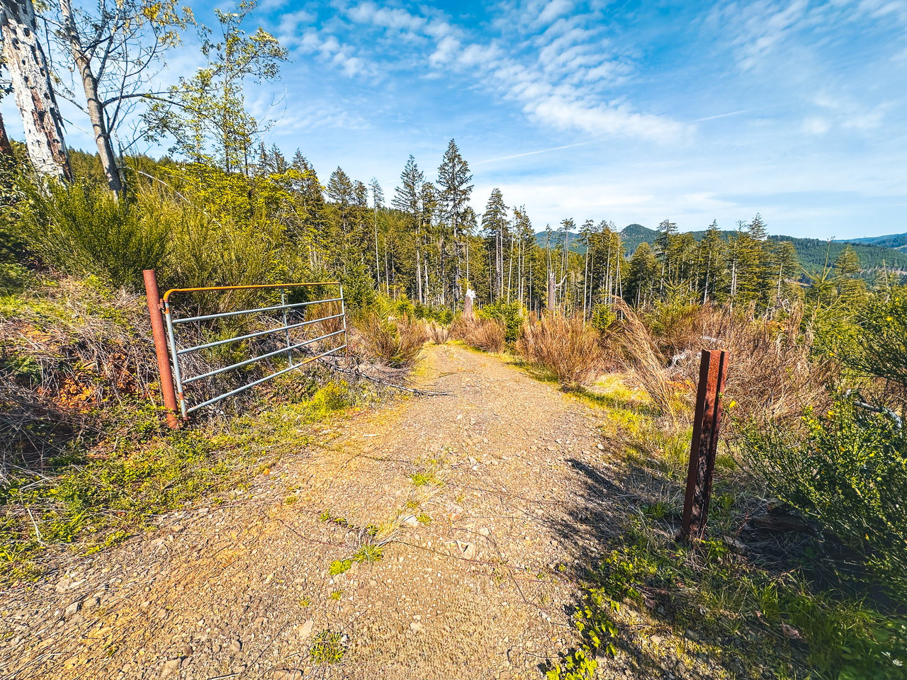 Walton Wild Woods
