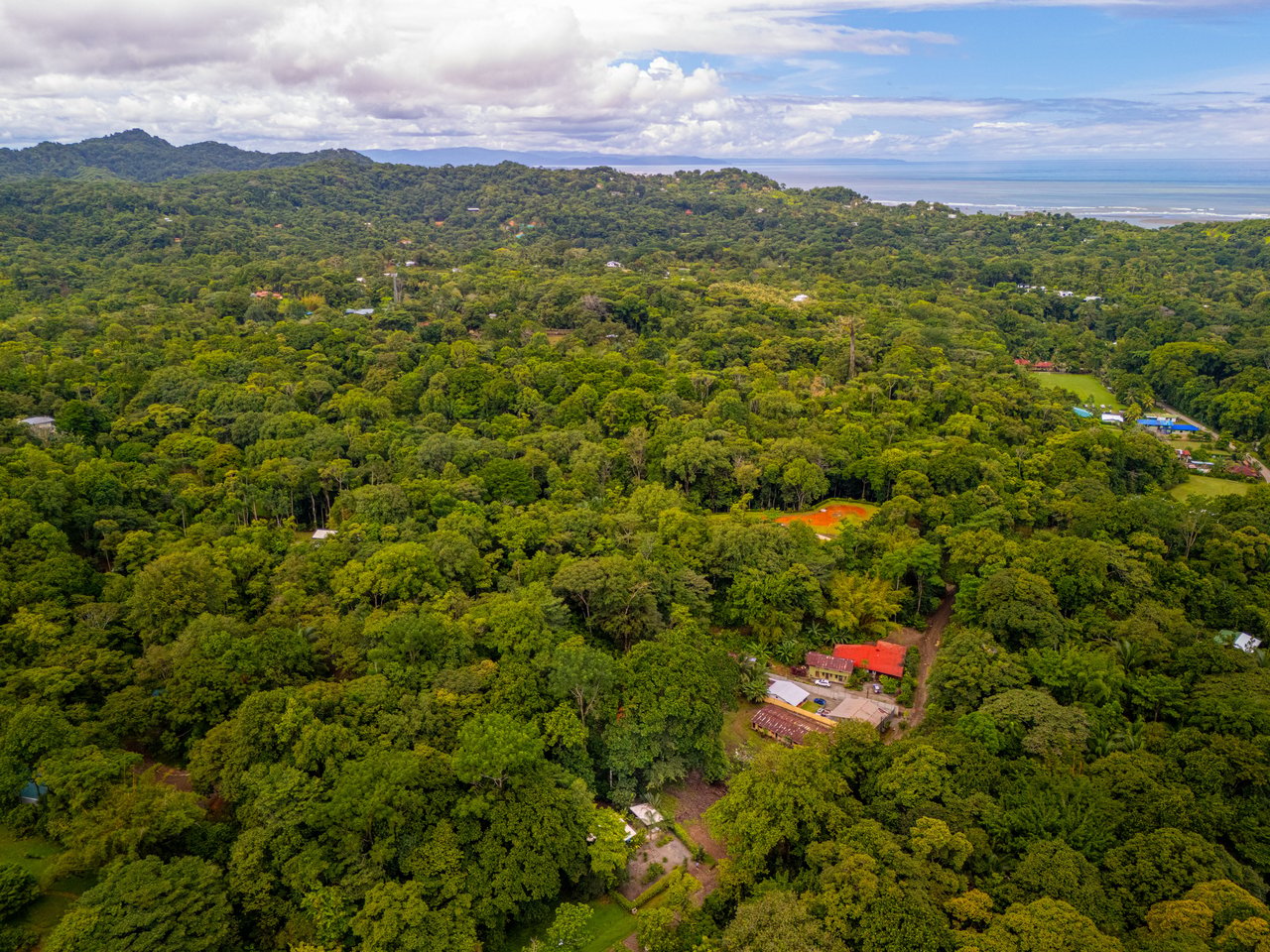Tropical Modern Casita on ½ Acre / Saltwater Pool / Expansion Potential