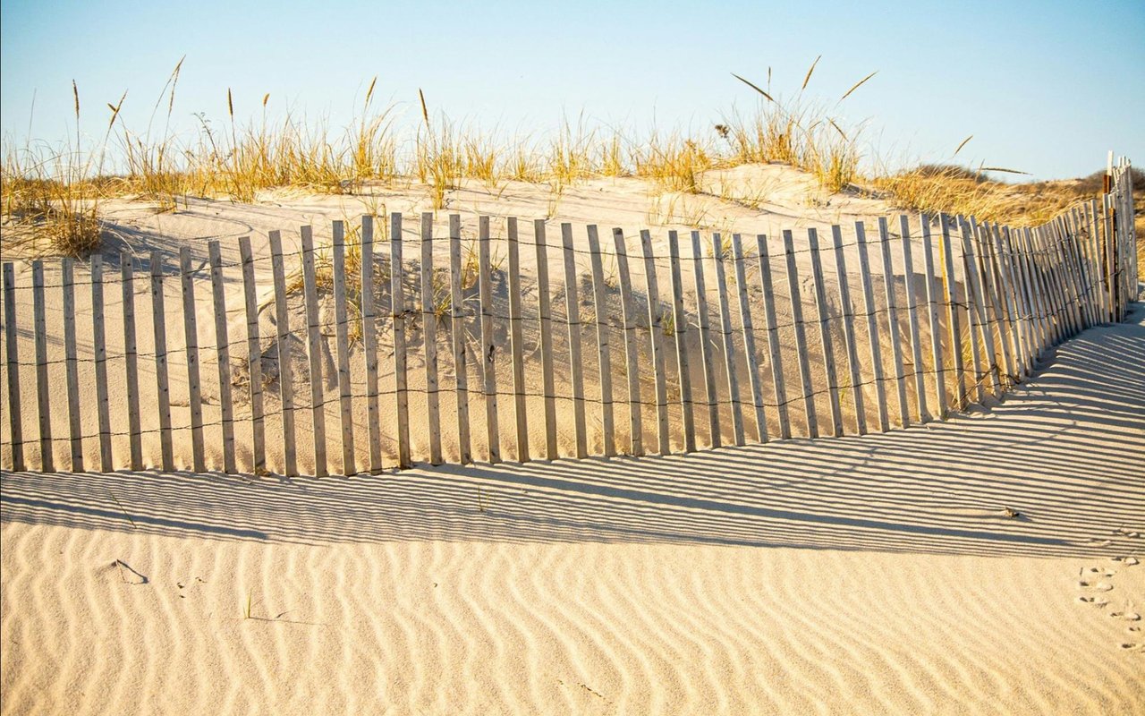 Coastal dunes with sea oats behind a wooden sand fence casting striped shadows on the beach.