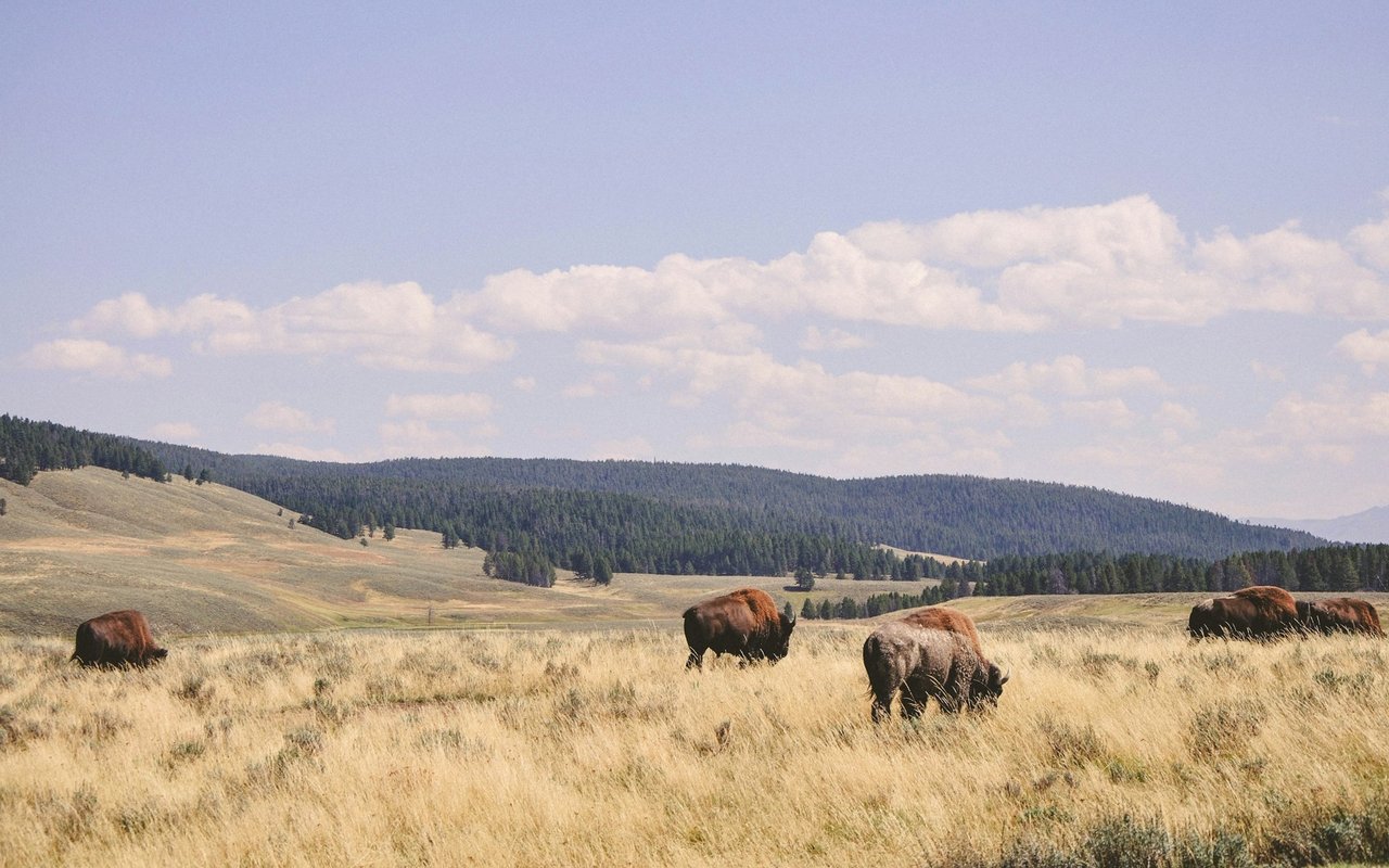 Melton Ranch