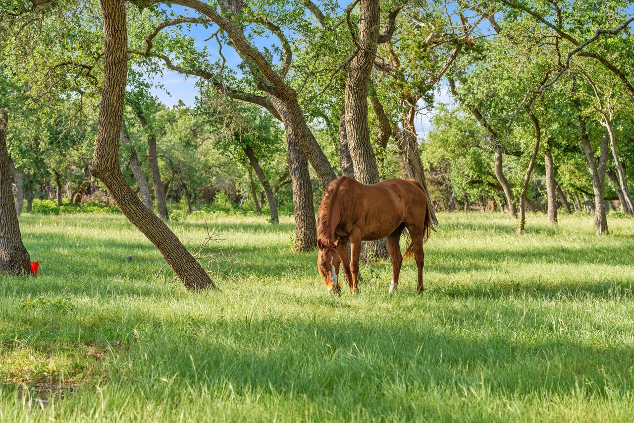 32 Acre Estate