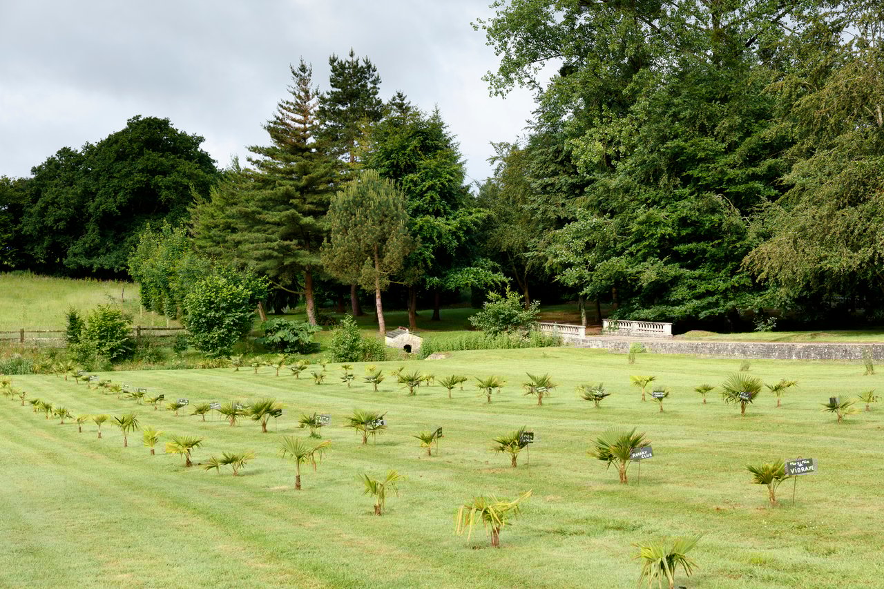 Chateau De Servigny-Historic Chateau in Normandy With Pool