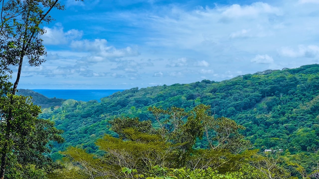 Jungle Canopy Retreat with Ocean, Cano Island & Mountain Views Near Dominical