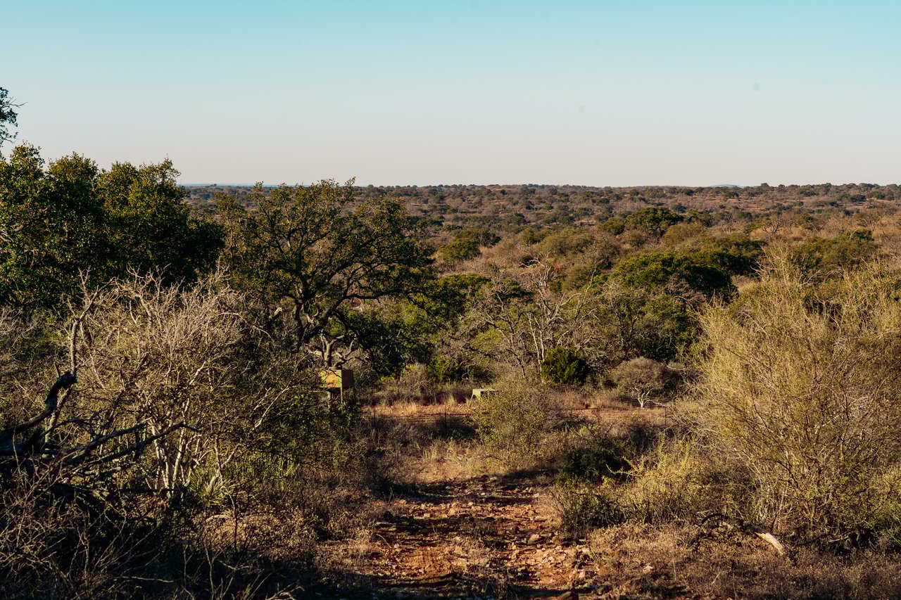 510 Carls Pass Llano County 378 Acres