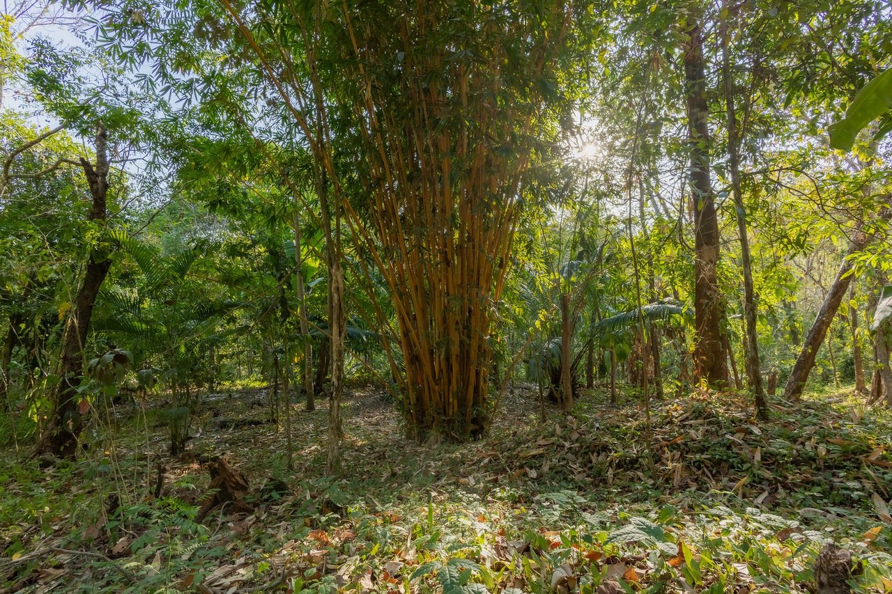 Exclusive Ocean View Development Homesite, Santa Teresa, Puntarenas