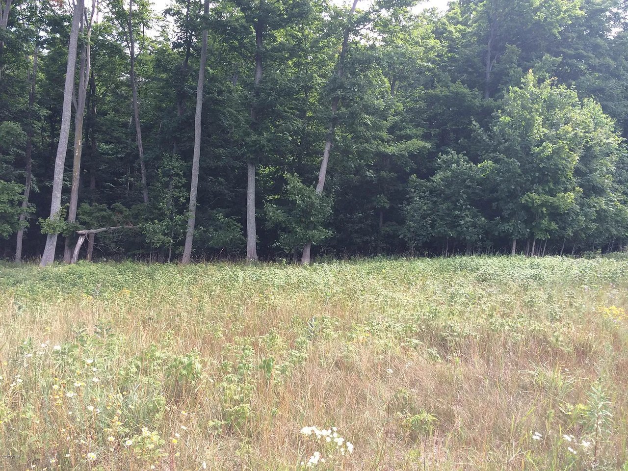 9459 W Sleepy Valley Dr