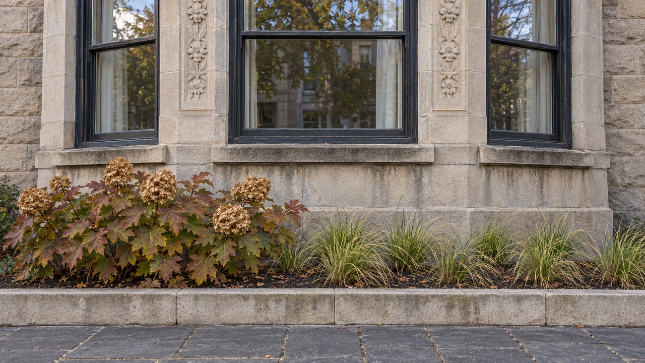 Tall dark-framed windows in a weathered carved limestone bay above russet oakleaf hydrangea and fine sedge planting.