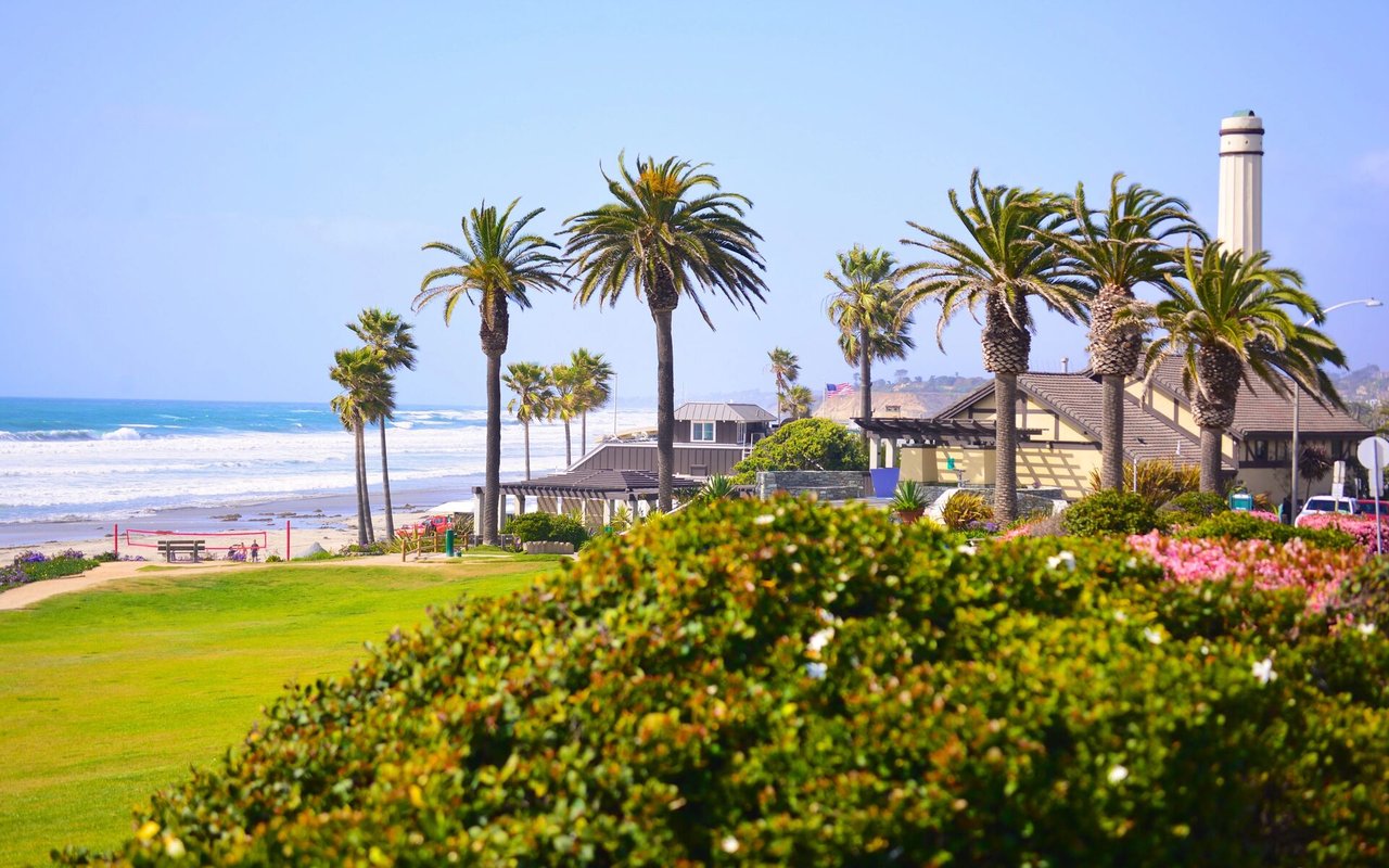 Del Mar coastline with palm trees, a grassy park, and ocean waves.