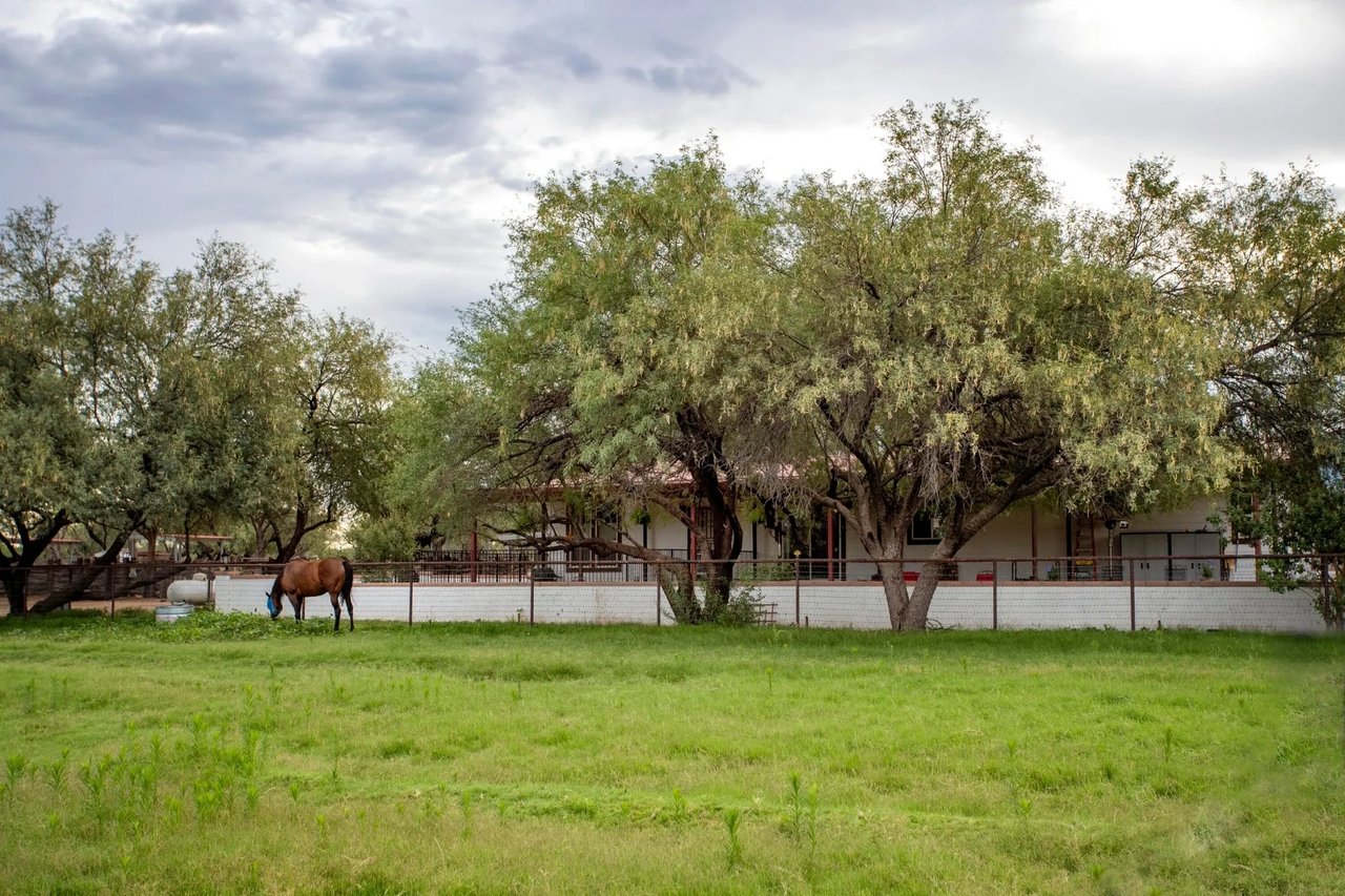 3155 W Elephant Head Rd