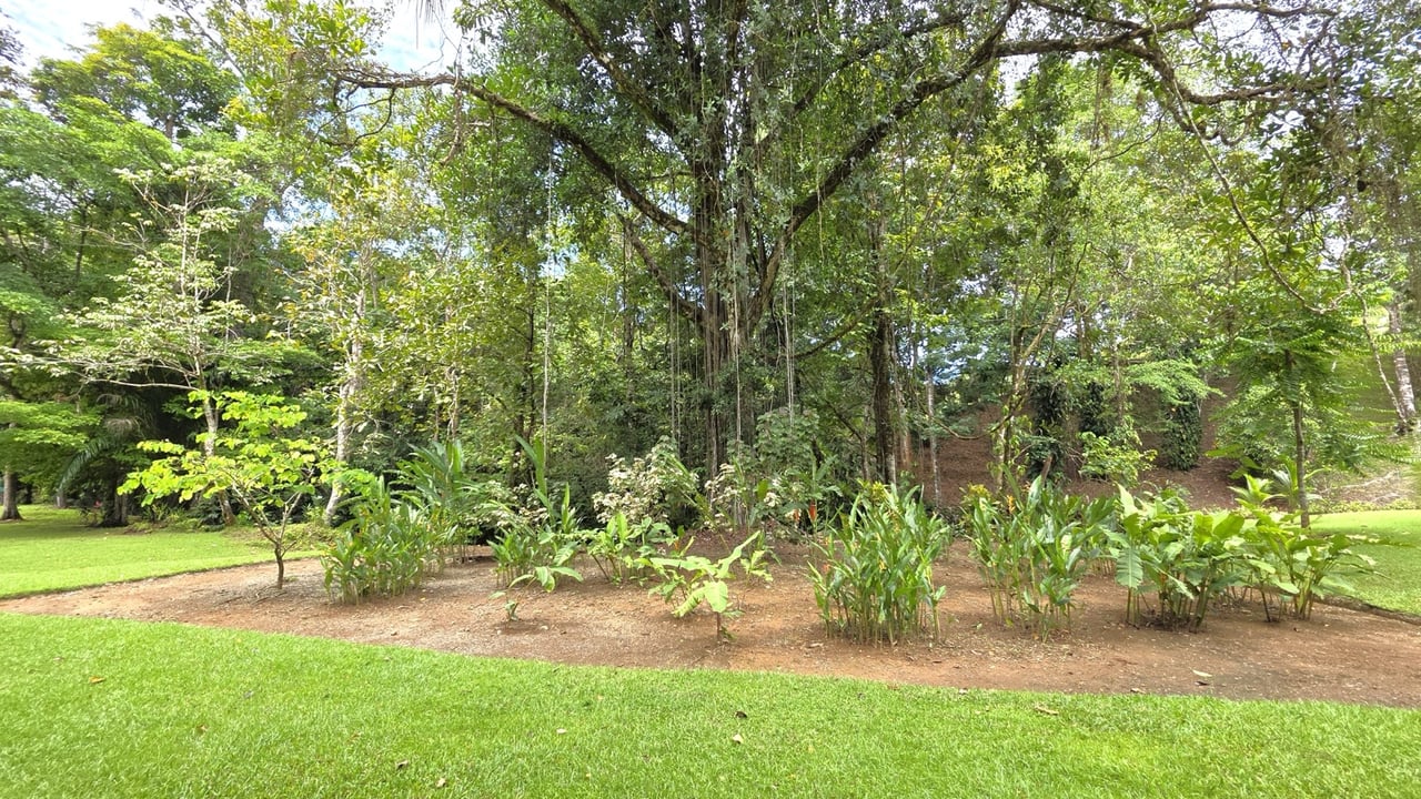 Refreshing Riverfront Retreat in Ojochal