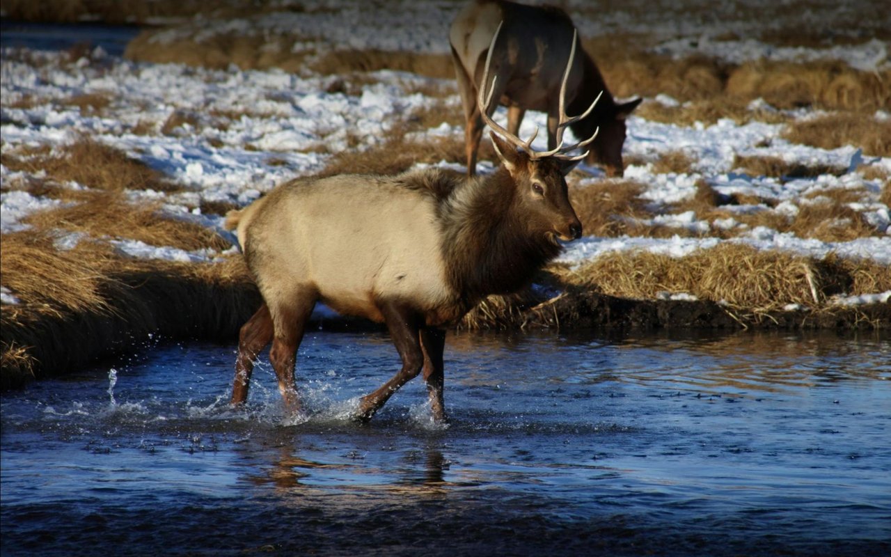 Best Family-Friendly Activities in Jackson Hole