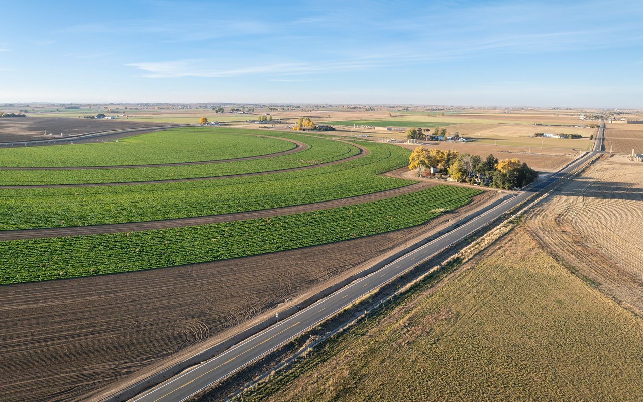 Aerial view of green farmland with curved crop rows and a road crossing the fields.