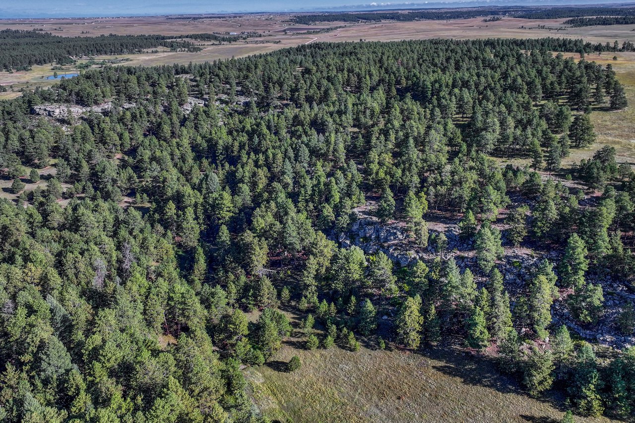 19100 County Road 17