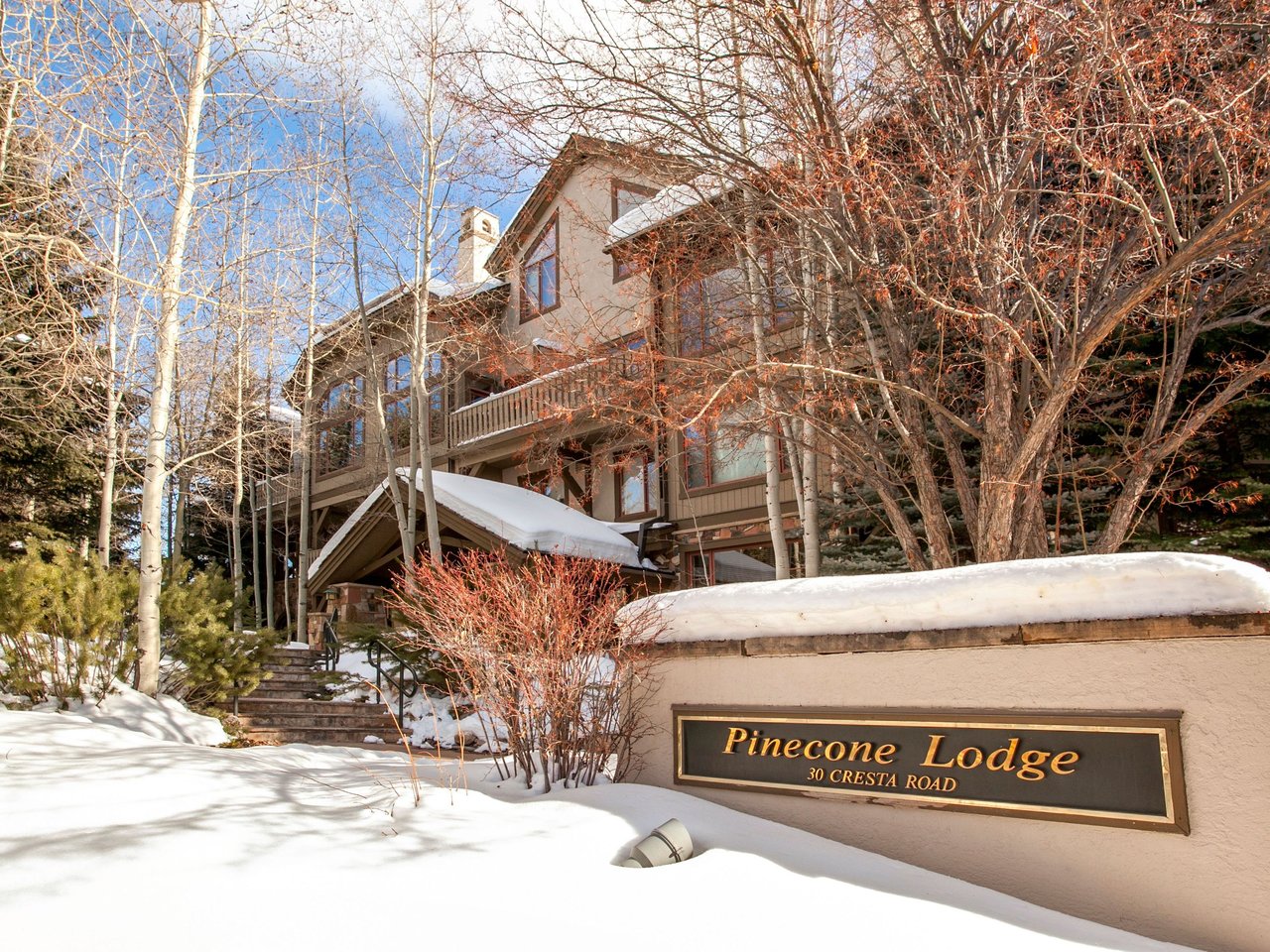 Pinecone Lodge 201